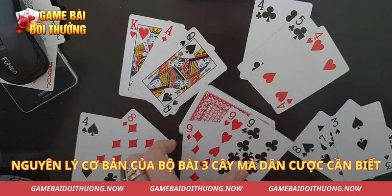 Nguyên lý cơ bản của bộ bài 3 cây mà dân cược cần biết